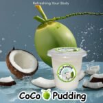Coconut Pudding